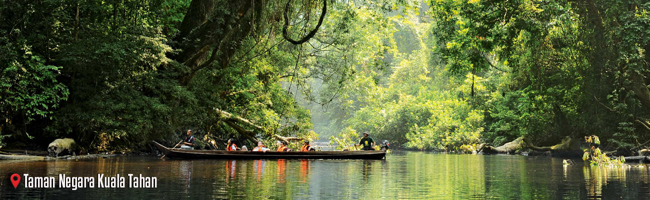 Taman Negara