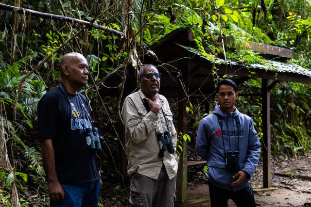 Trek Hutan
