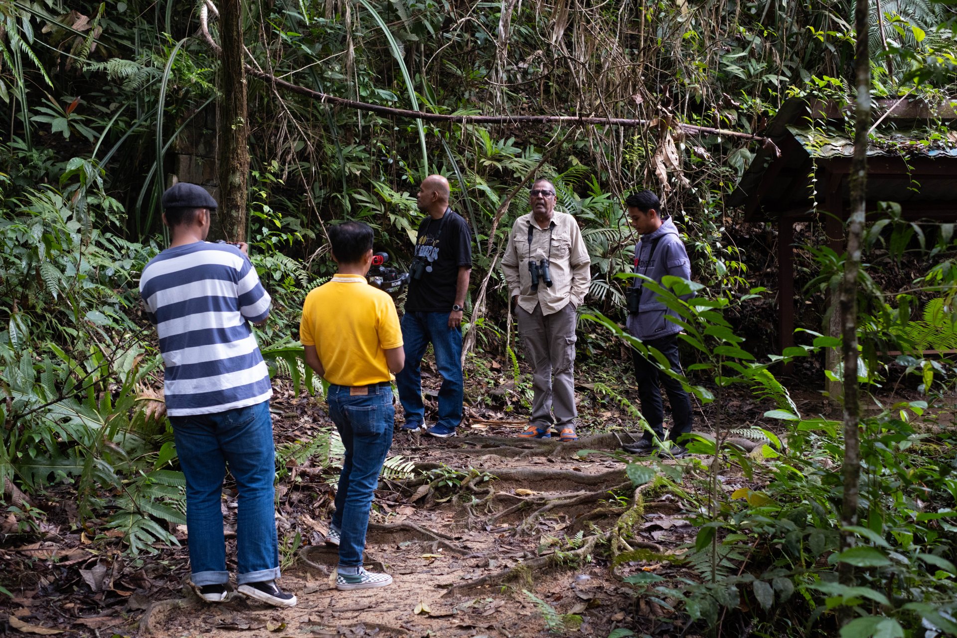 Trek Hutan