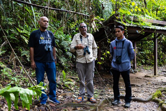 Trek Hutan